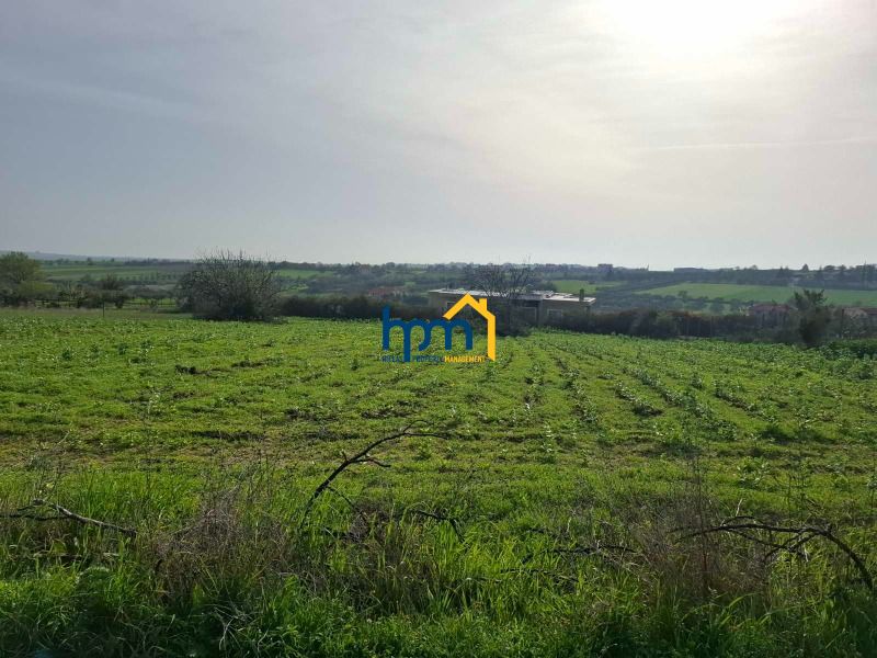 (For Sale) Land Land || Thermi / Neo Risio - 4910sq 180000&euro;