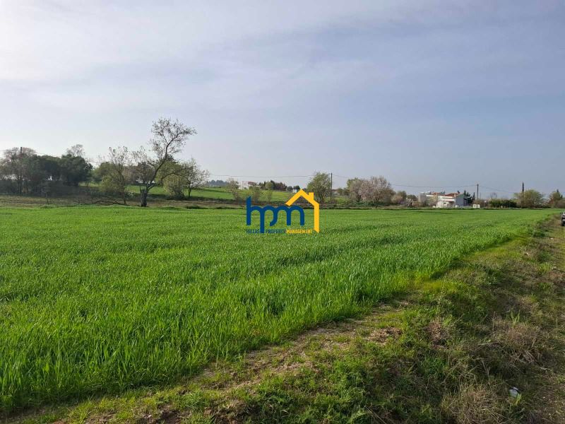 (For Sale) Land Land || Thermi / Neo Risio - 5000sq 150000&euro;