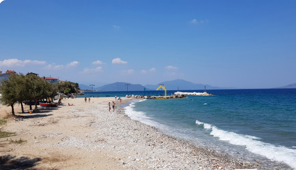 (for sale) Land Land || Evoia Prefecture / Artemisio - 4300.0sq.m, 68.000€