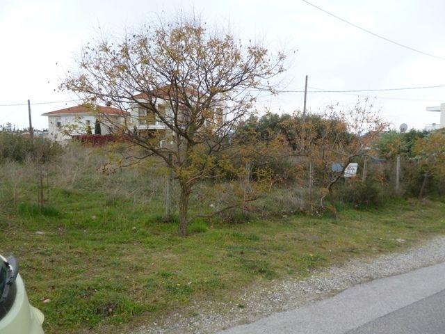 (For Sale) Land Plot || Panorama / Synoikismos Nomou 751 - 758sq 380000&euro;