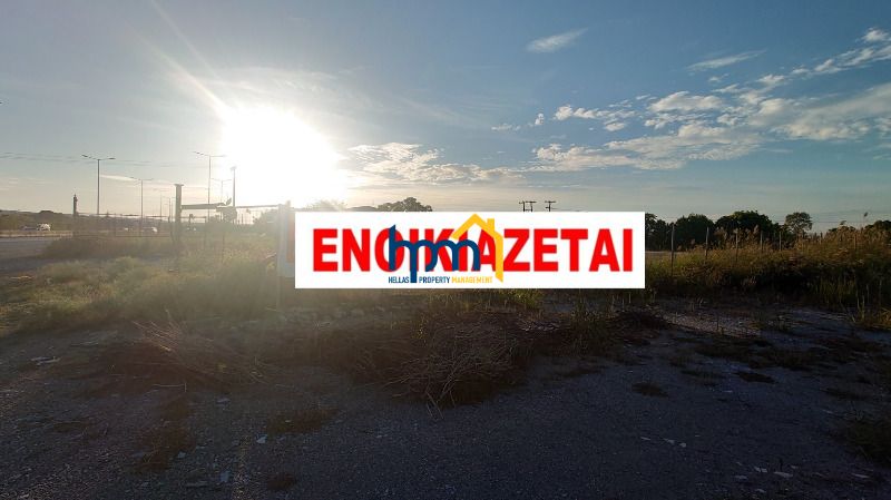 (To Rent) Land Land || Thermaikos / Peraia - 18000sq 7000&euro;