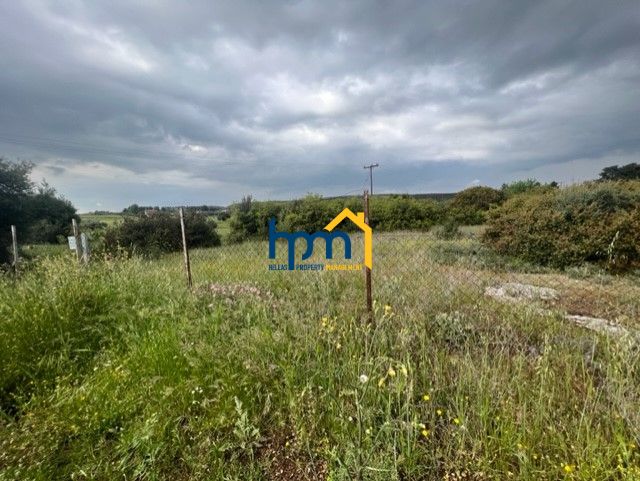 (Προς Πώληση) Αξιοποιήσιμη Γη Οικόπεδο || Τρίγλια / Ελαιοχώρια - 924τ.μ, 38000&euro;