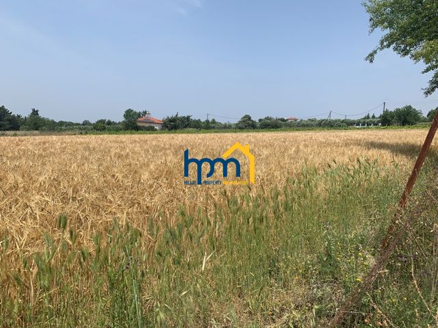 (For Sale) Land Land || Mikra / Trilofo - 4655sq 210000&euro;